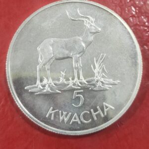 ZAMBIA. AÑO 1979. 5 KWACHA PLATA. PESO 28,28 GR