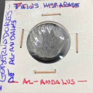 HISPANO ARABE ( AL ANDALUS ). FELUS. PESO 5,6 GR