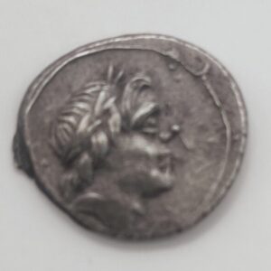 AÑO 81 A.C. QUINARIO. ANONIMA. PESO 2,00 GR