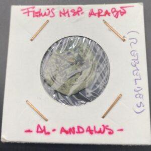 PERIODO HISPANO ARABE ( AL ANDALUS ). FELUS. PESO 1,7 GR