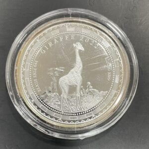 GUINEA ECUATORIAL. AÑO 2002. 1000 FRANCOS CFA PLATA. PESO 31,2 GR