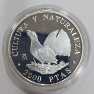 AÑO 1995. 2.000 PTAS PLATA CULTURA Y NATURALEZA "UROGALLO". PESO 27 GR